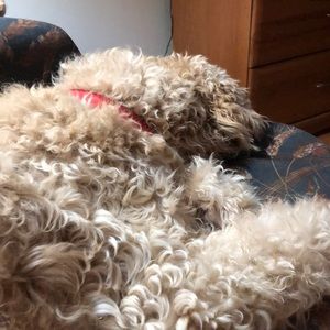 Meet your Posher, Michele